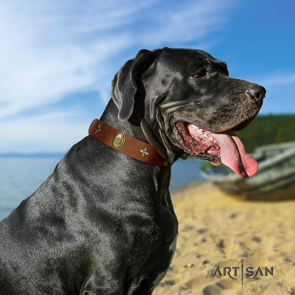 Great Dane stylish walking natural leather collar with embellishments for your dog