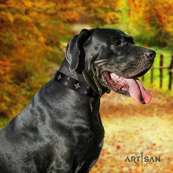 Great Dane stylish walking genuine leather collar with decorations for your pet