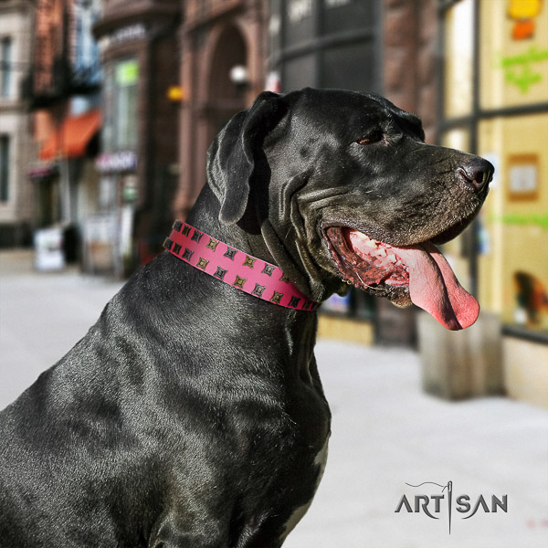 Great Dane handy use leather collar with embellishments for your doggie