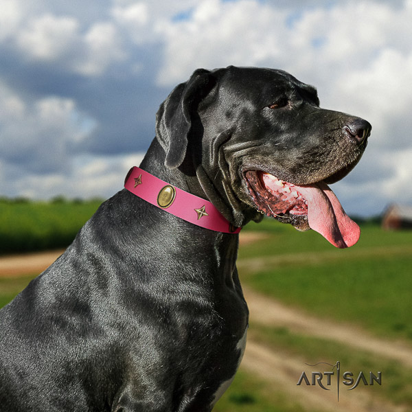 Great Dane stylish walking full grain genuine leather collar with decorations for your pet