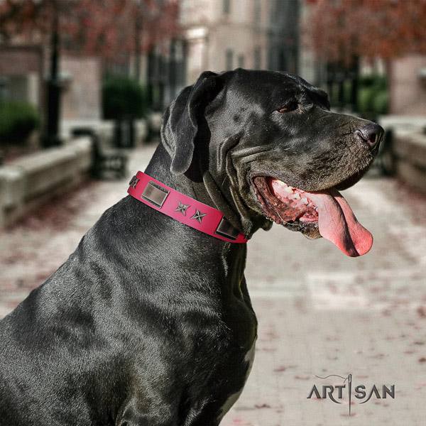 Great Dane top quality genuine leather collar with corrosion proof traditional buckle