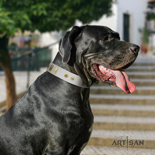 Great Dane daily use genuine leather collar with decorations for your four-legged friend