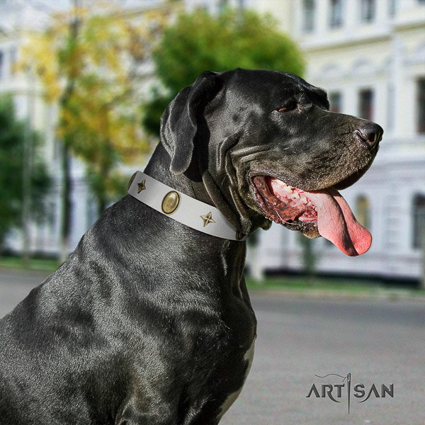 Great Dane daily walking full grain natural leather collar with embellishments for your pet