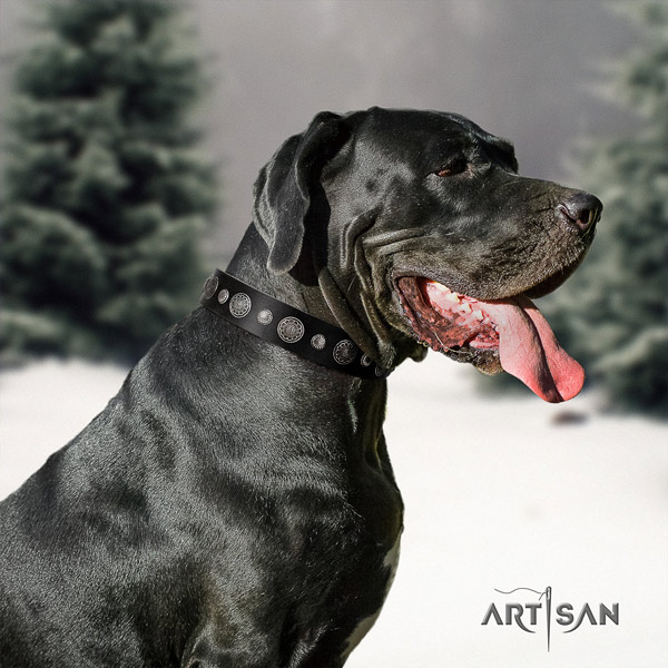 Great Dane top quality leather collar with rust resistant d-ring