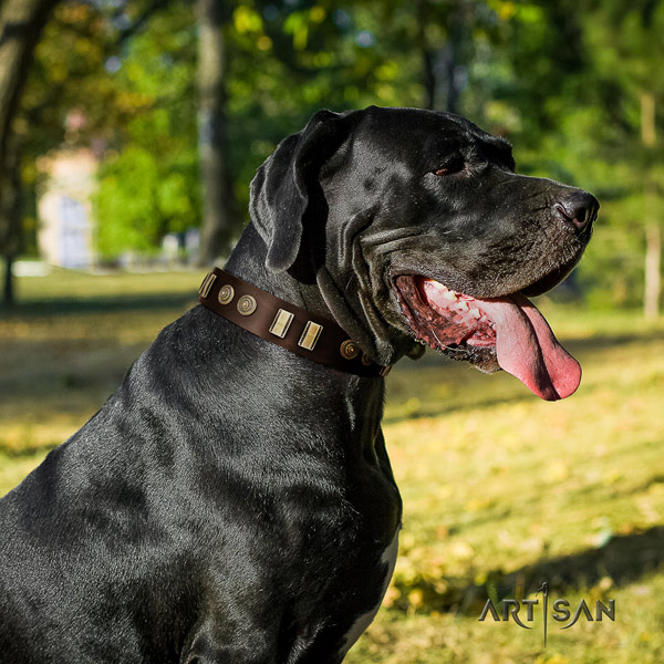 Great Dane best quality full grain genuine leather collar with rust-proof d-ring
