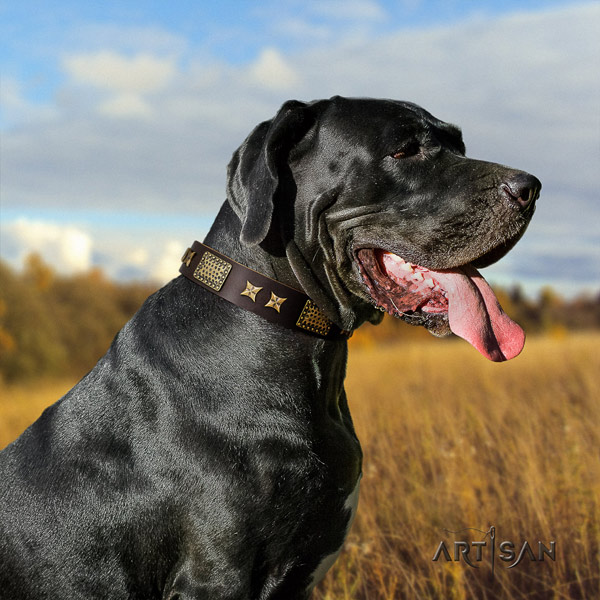 Great Dane fine quality full grain leather collar with rust resistant fittings