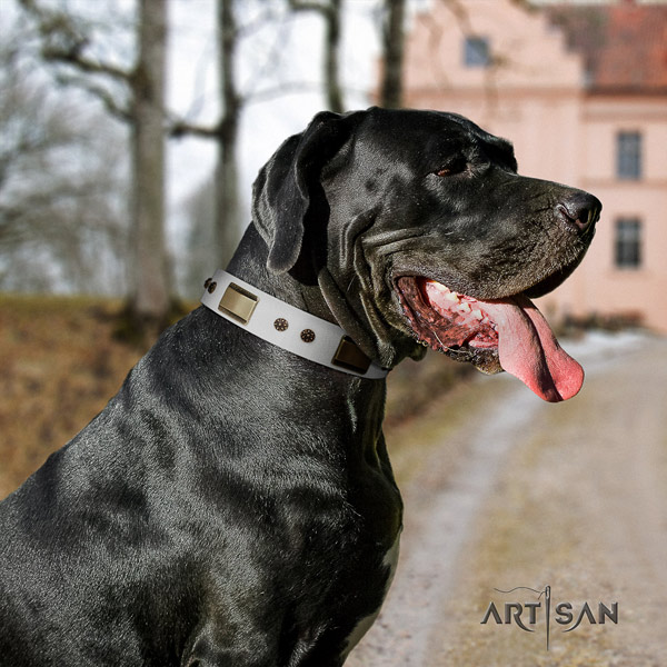Great Dane designer leather collar with corrosion proof traditional buckle
