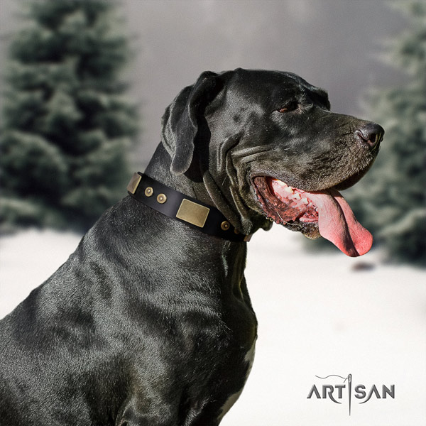 Great Dane fashionable genuine leather collar with corrosion proof d-ring
