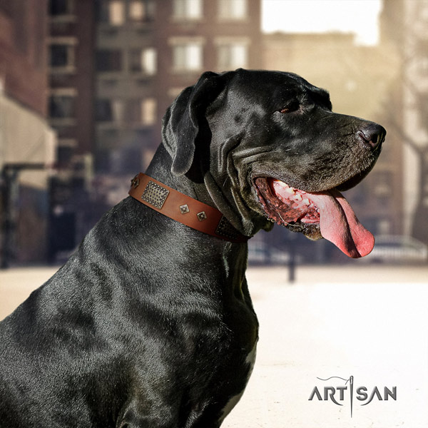 Great Dane awesome full grain natural leather collar with corrosion resistant fittings