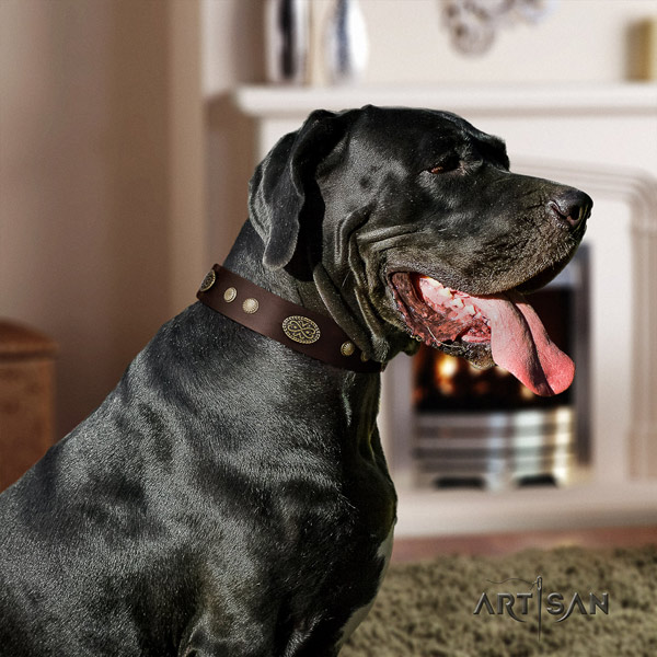 Great Dane easy to adjust full grain natural leather collar with corrosion resistant buckle