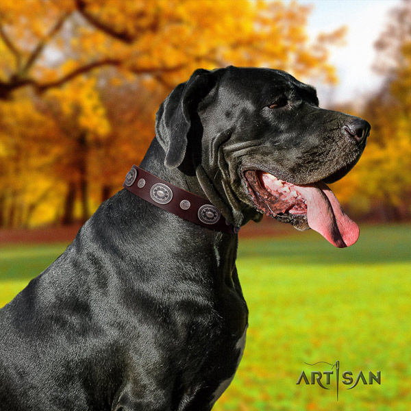Great Dane adjustable collar with exquisite embellishments for your pet
