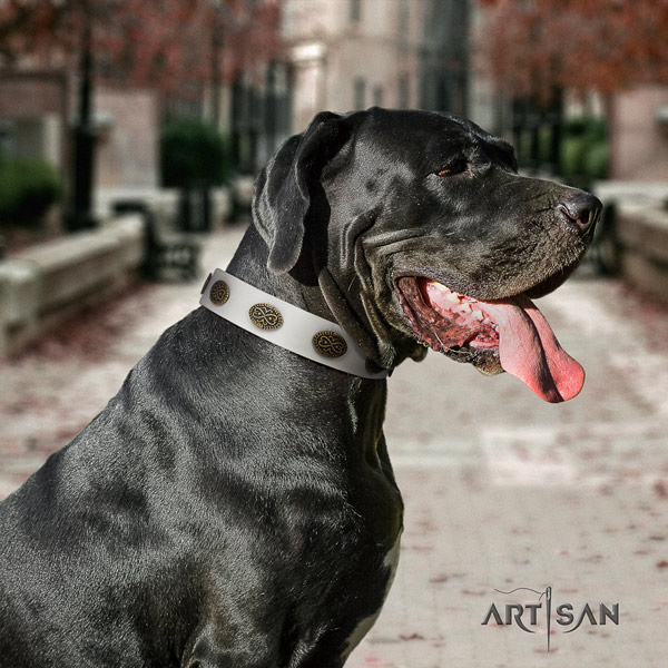 Great Dane inimitable leather collar with rust-proof hardware