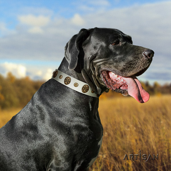 Great Dane fancy walking genuine leather collar with decorations for your dog
