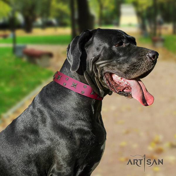 Great Dane daily use natural leather collar with decorations for your canine