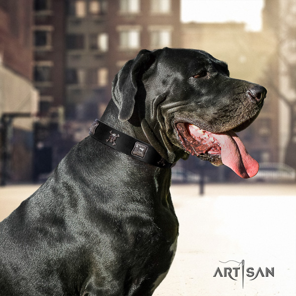 Great Dane walking leather collar with decorations for your pet