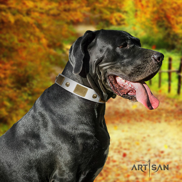 Great Dane fancy walking genuine leather collar with decorations for your four-legged friend