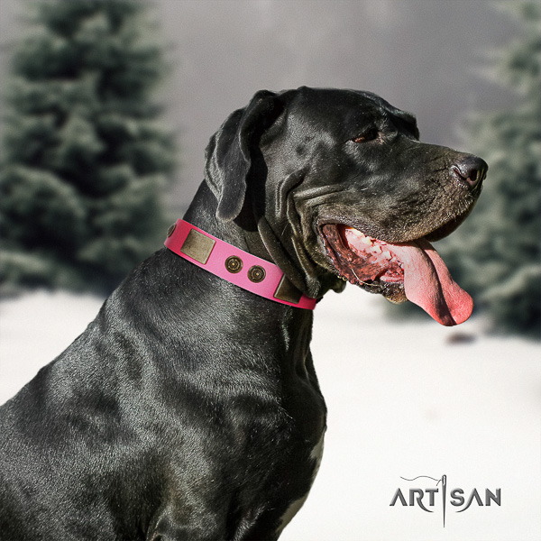 Great Dane handy use full grain leather collar with decorations for your dog
