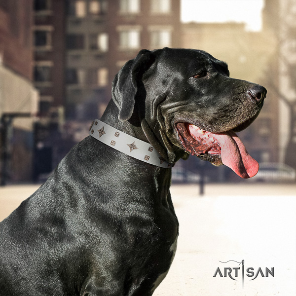 Great Dane everyday walking leather collar with decorations for your canine