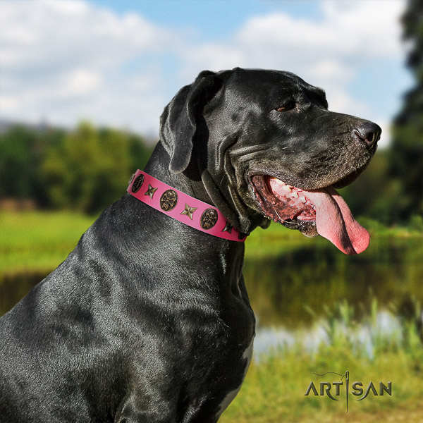 Great Dane comfortable wearing natural leather collar with adornments for your four-legged friend