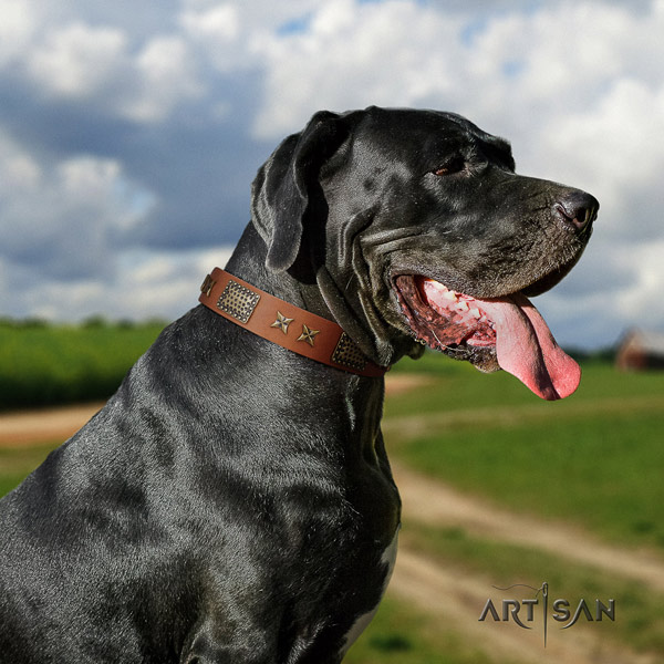 Great Dane studded full grain leather collar with corrosion resistant hardware