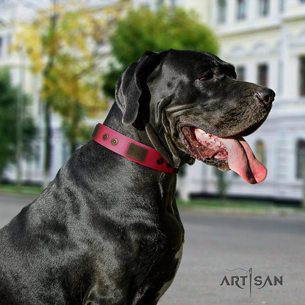 Great Dane adjustable full grain natural leather collar with rust resistant fittings