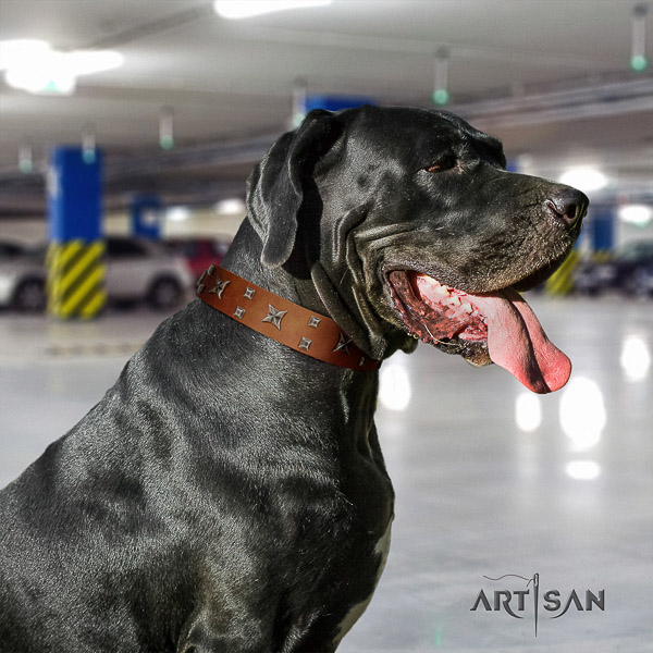 Great Dane handy use full grain leather collar with embellishments for your four-legged friend