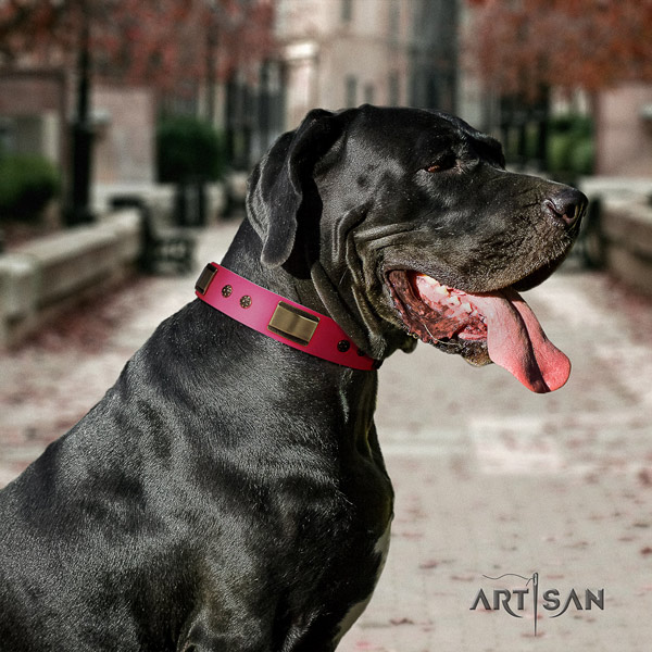 Great Dane fine quality leather collar with rust-proof d-ring
