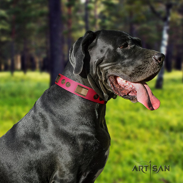 Great Dane decorated leather collar with rust-proof fittings