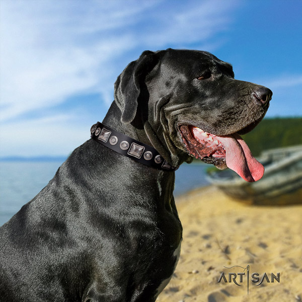 Great Dane convenient collar with awesome studs for your doggie