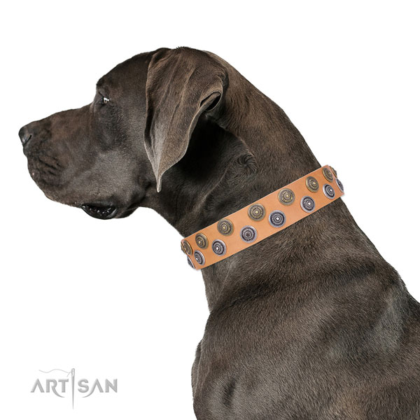 Great Dane handcrafted natural genuine leather dog collar for comfy wearing