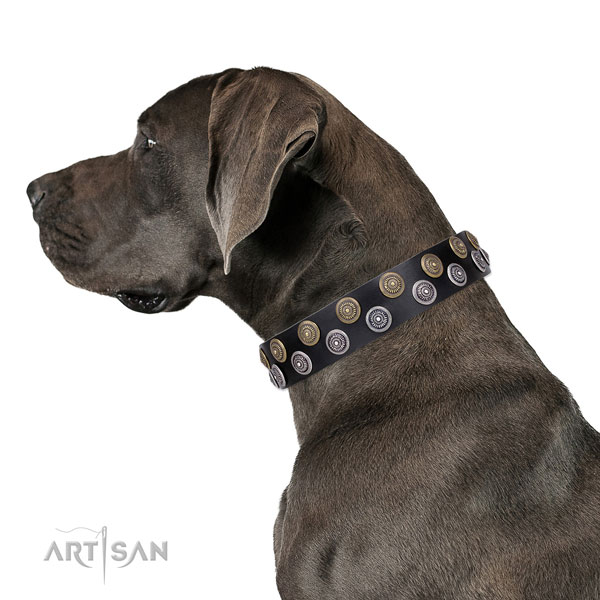 Great Dane handcrafted leather dog collar for handy use