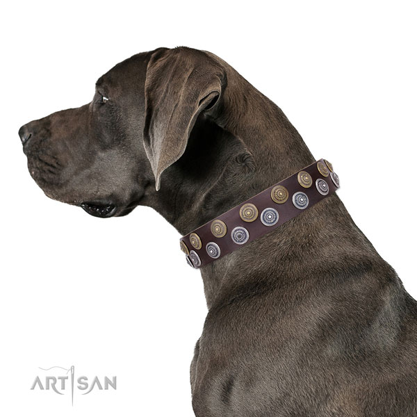 Great Dane unique natural genuine leather dog collar for comfortable wearing