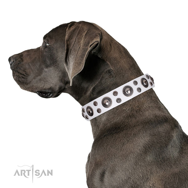 Great Dane fashionable genuine leather dog collar for fancy walking