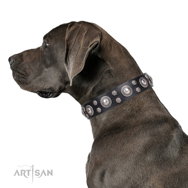 Great Dane adjustable leather dog collar for easy wearing