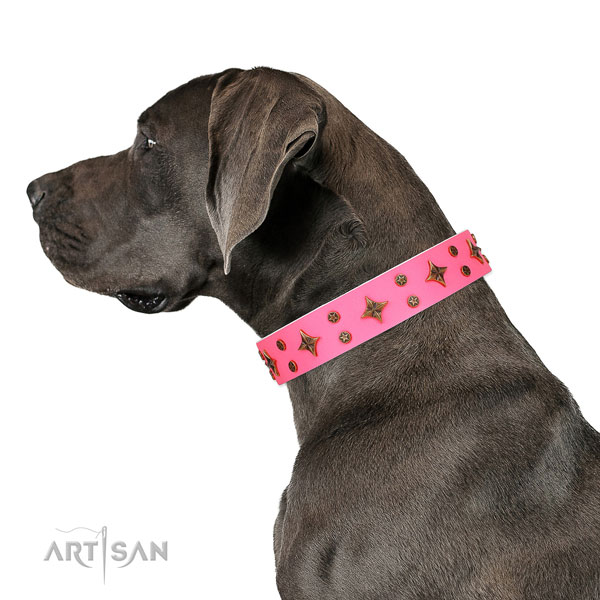 Great Dane exquisite full grain genuine leather dog collar for comfortable wearing