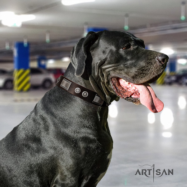 Great Dane stylish leather collar with corrosion resistant traditional buckle