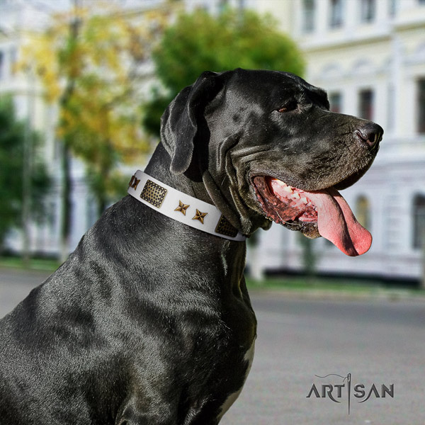Great Dane perfect fit full grain natural leather collar with corrosion resistant traditional buckle