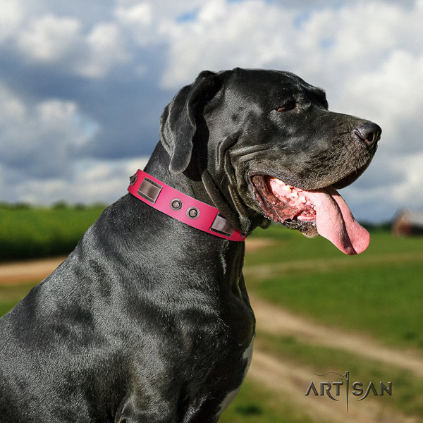 Great Dane exceptional genuine leather collar with corrosion resistant d-ring