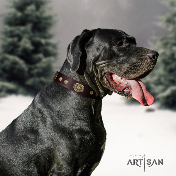 Great Dane stylish leather collar with rust resistant d-ring