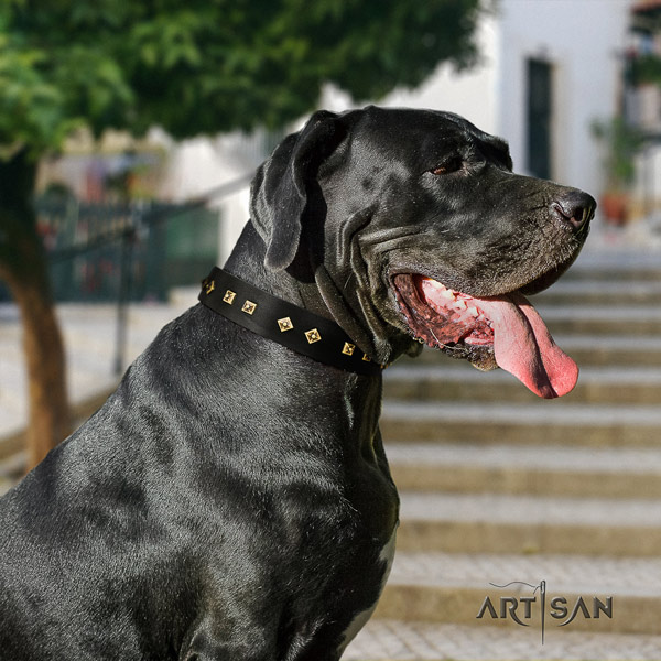Great Dane extraordinary full grain genuine leather collar with corrosion proof d-ring