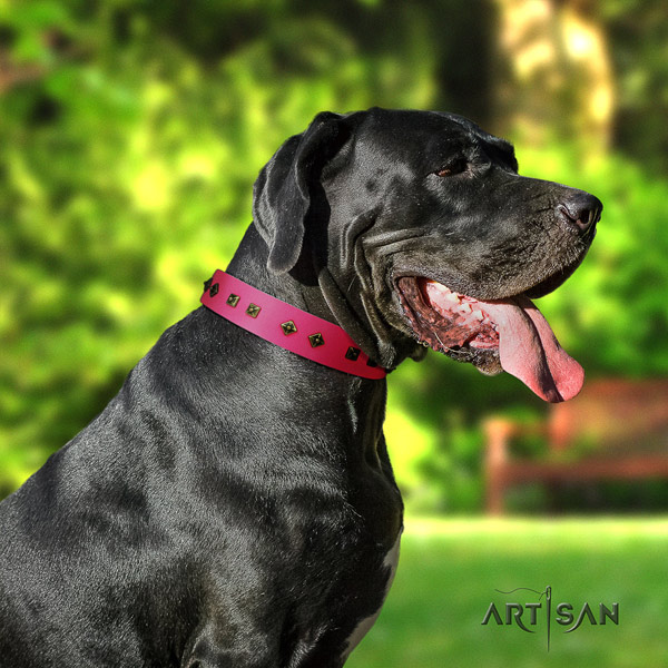 Great Dane easy wearing full grain leather collar with corrosion resistant d-ring