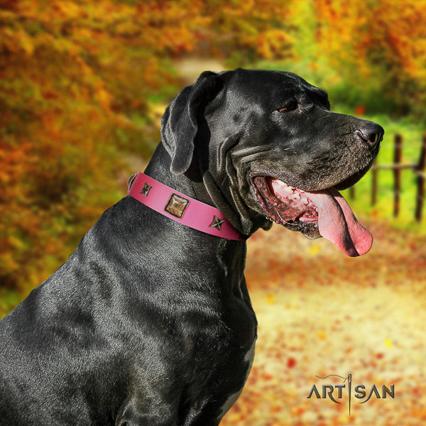 Great Dane stylish walking full grain natural leather collar with decorations for your four-legged friend
