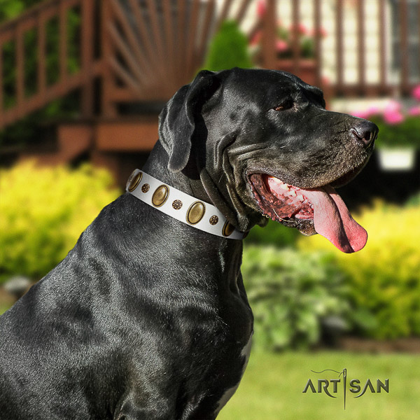 Great Dane everyday use full grain natural leather collar with decorations for your dog