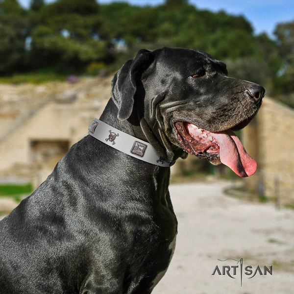 Great Dane basic training natural leather collar with decorations for your pet