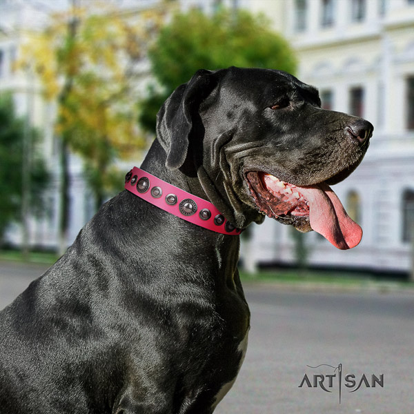 Great Dane fine quality collar with inimitable embellishments for your four-legged friend