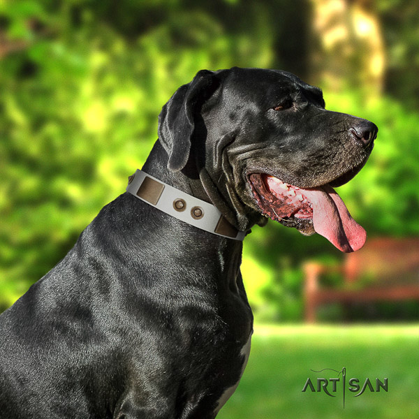 Great Dane everyday use full grain leather collar with embellishments for your doggie