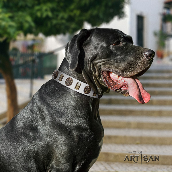 Great Dane basic training genuine leather collar with embellishments for your four-legged friend