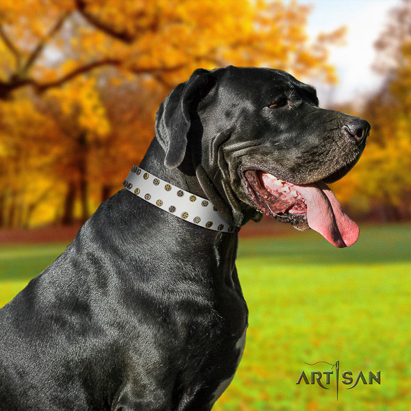 Great Dane daily use natural leather collar with decorations for your pet