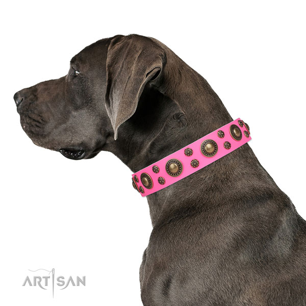 Great Dane top notch genuine leather dog collar for basic training