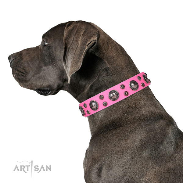 Great Dane easy adjustable natural genuine leather dog collar for easy wearing